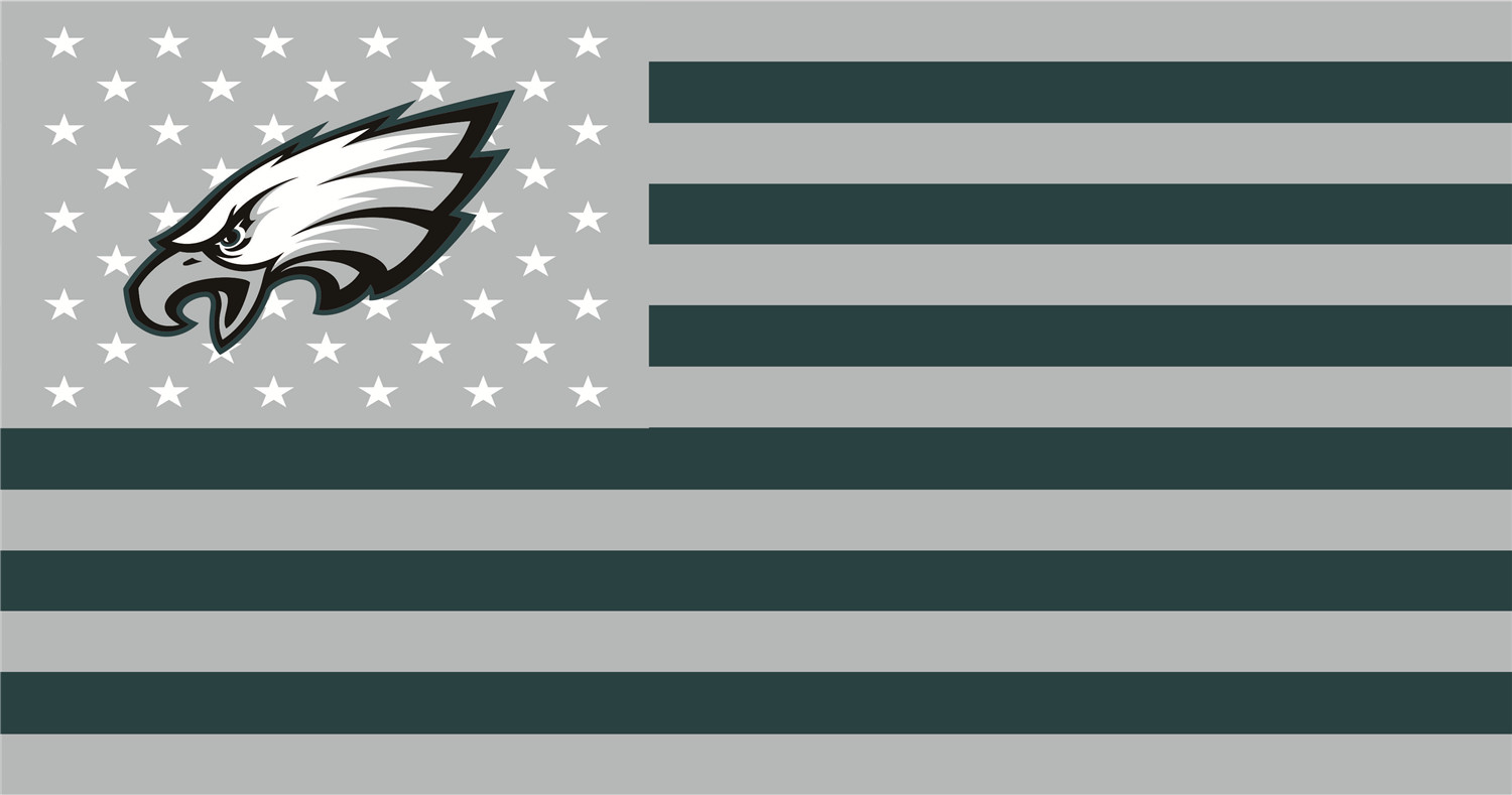 Philadelphia Eagles Flags DIY iron on transfer (heat transfer)